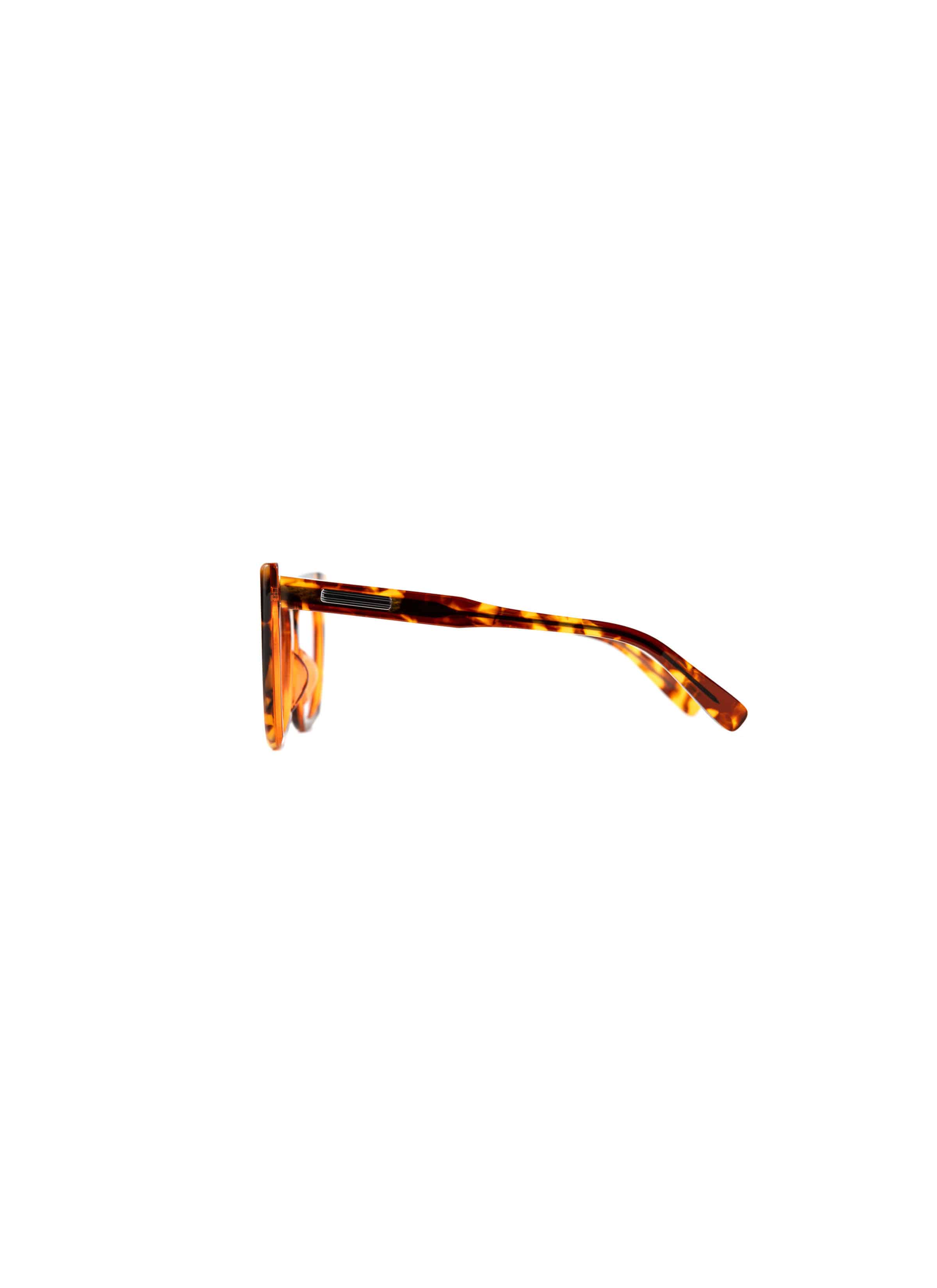 Native Sons / sacai Sunglasses (Cat Eye) 詳細画像 BROWN 3