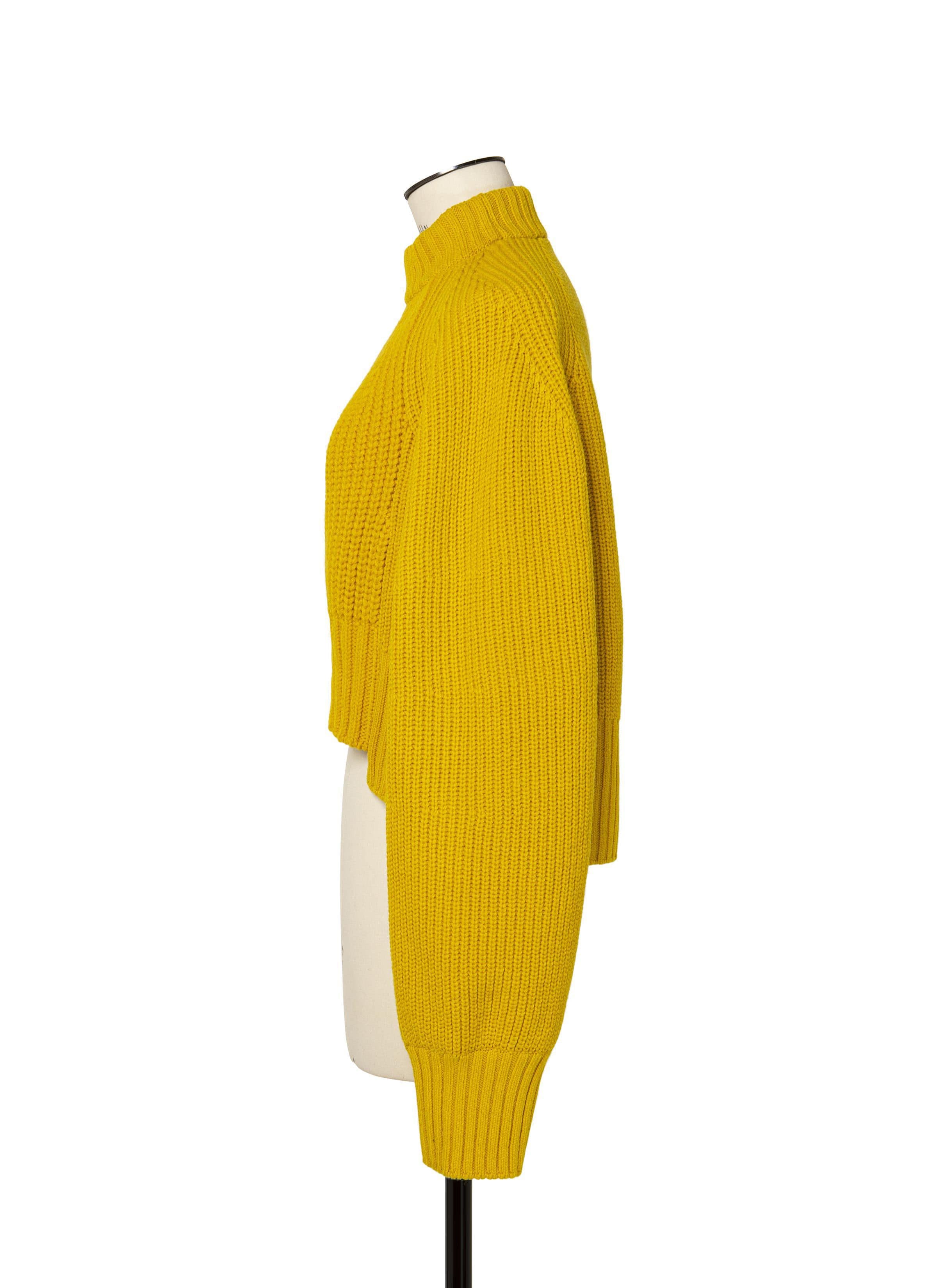 Wool Knit Pullover 詳細画像 YELLOW 2